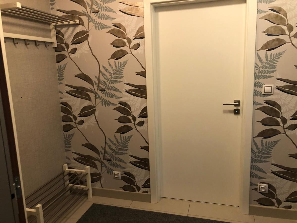 Apartman V Zeleni โดลนี โมราวา ภายนอก รูปภาพ