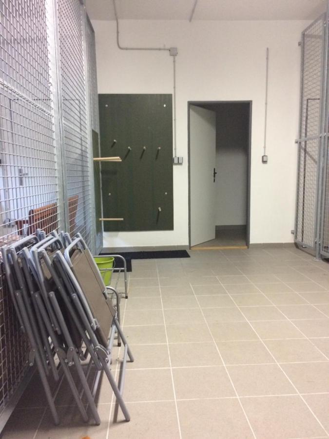Apartman V Zeleni โดลนี โมราวา ภายนอก รูปภาพ